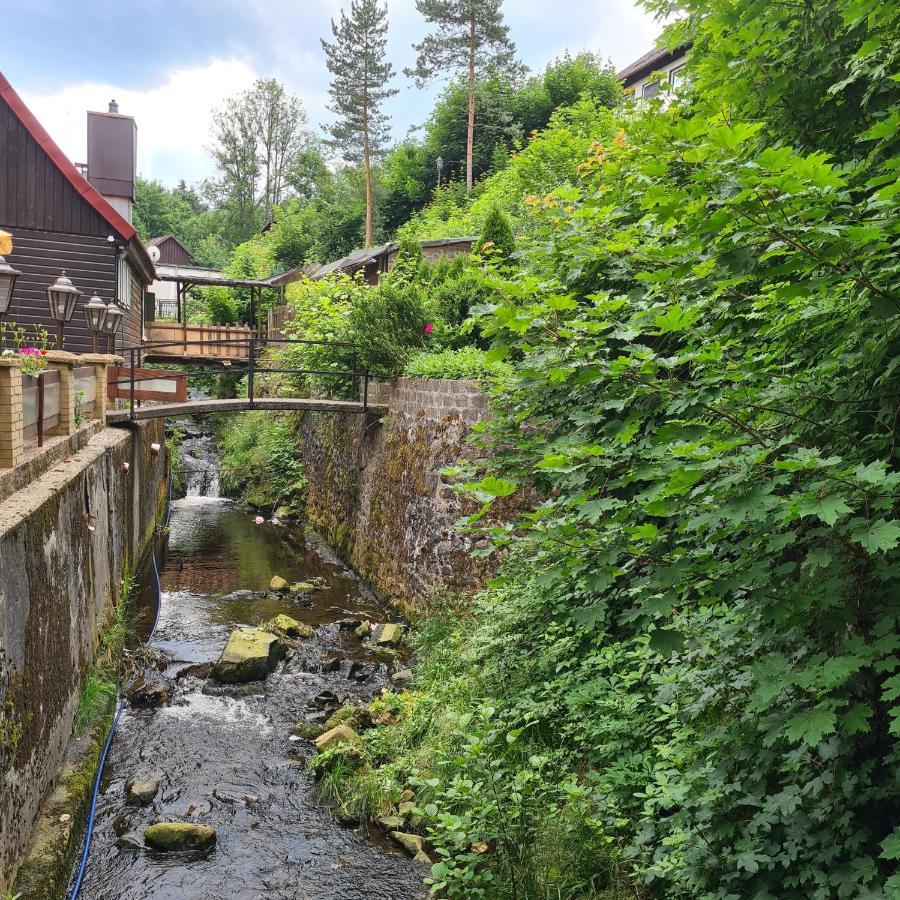 Harz Im Herzen Altenau  Exteriör bild